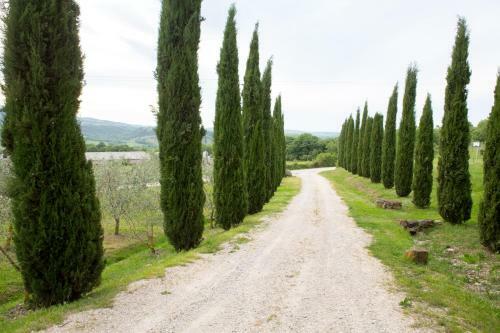 Hostal Podere Il Tigliolo