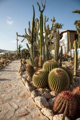 Relais Garden Cactus B&B