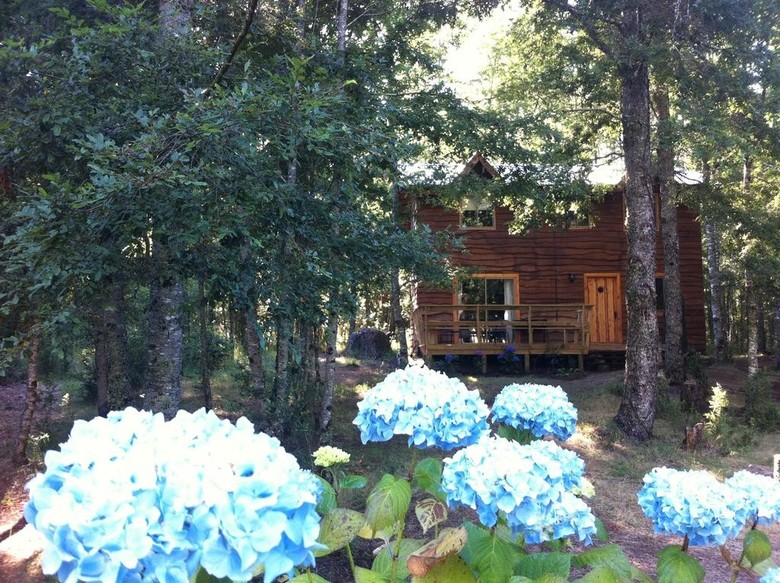 Lodge & Tenis Pucon