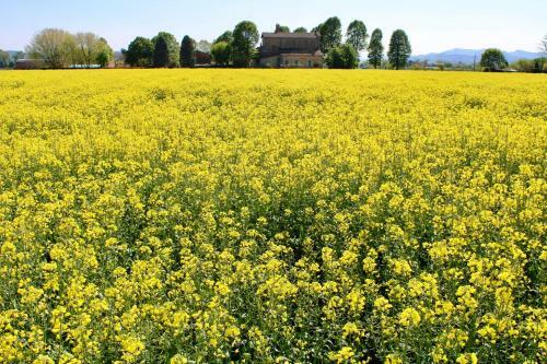 Agroturismo Agriturismo Ravaglia Grande