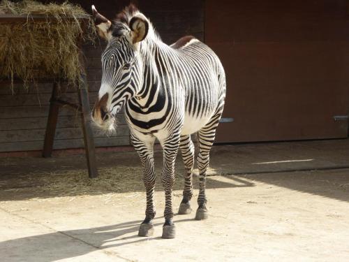 Port Lympne Mansion Hotel