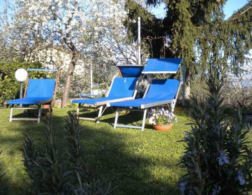 Agroturismo B&B Serra Pineta