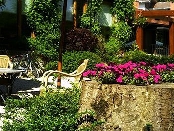 Hotel Churrut