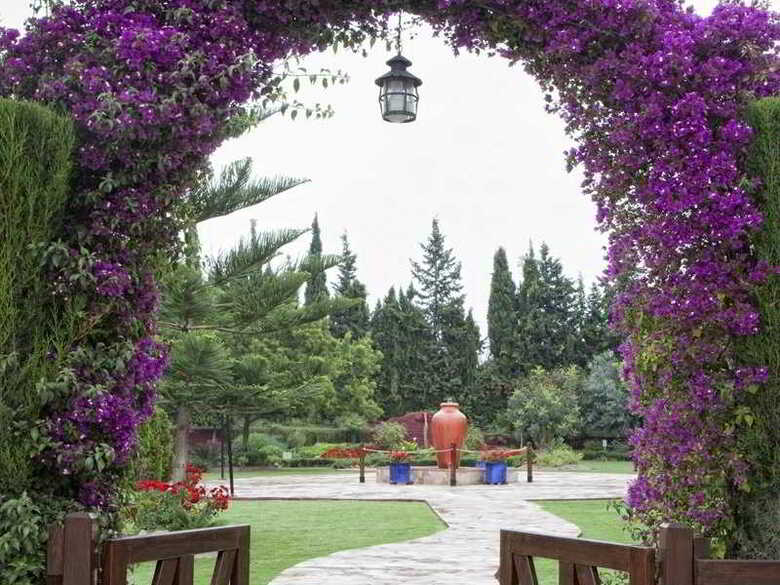 Hotel Cortijo Chico