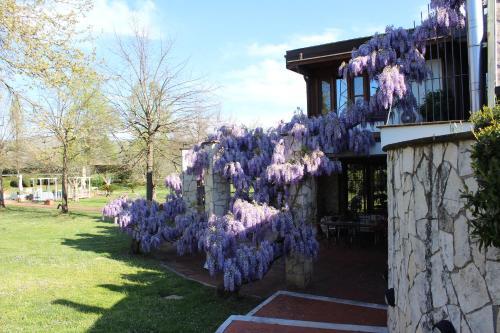 B&B Villa Sbaraglia