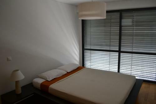 Expo Apartment