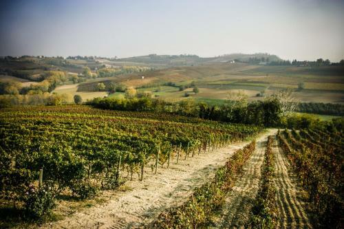 Hotel Naturalmente Wine Resort