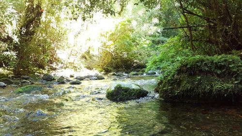 Agroturismo Casa Monta�a Ecologica