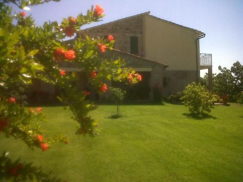 Hostal Agriturismo Podere Micitto
