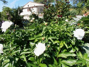 Bed & Breakfast Il Sorger Del Sole