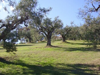 Bed & Breakfast Il Sorger Del Sole