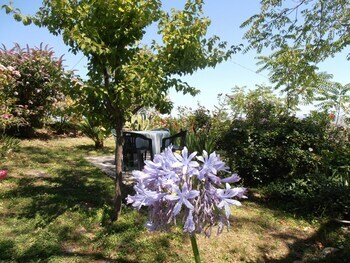 Bed & Breakfast Il Sorger Del Sole