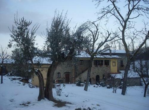 Hostal Ospitaletto49