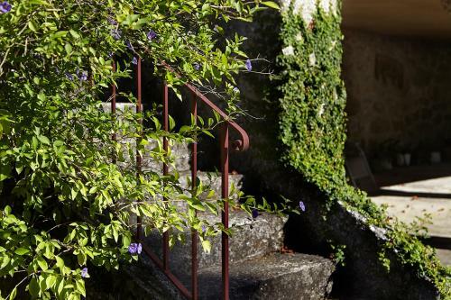 Agroturismo Quinta Da Balan�a