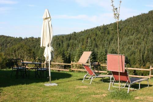 Yourtes En Terrasse