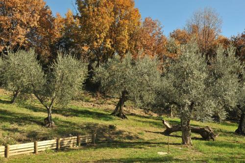 Agroturismo Chiusa Della Vasca