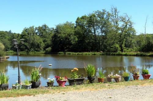 Agroturismo River Cottage