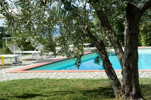 Agroturismo Il Bellini