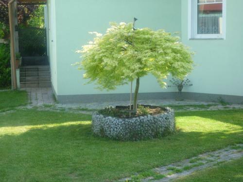 Apartamentos Gartenpension Prosl