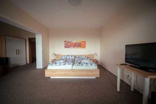Hostal Penzion U Bl�h?