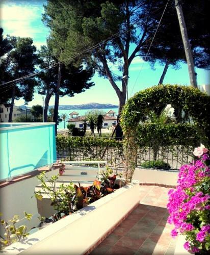 Apartamentos Petit Blau