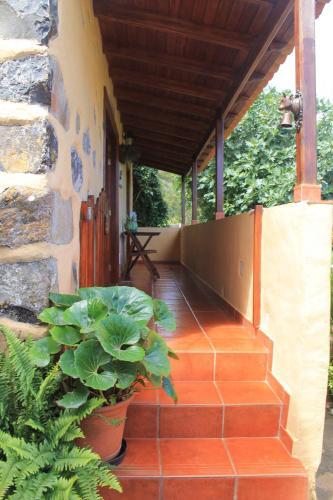 Casa Rural Las Rosas
