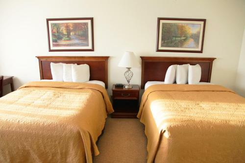 Alex Hotel And Suites