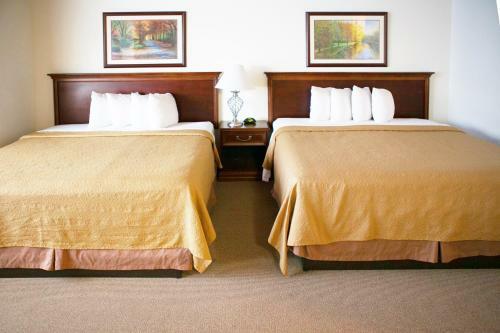 Alex Hotel And Suites