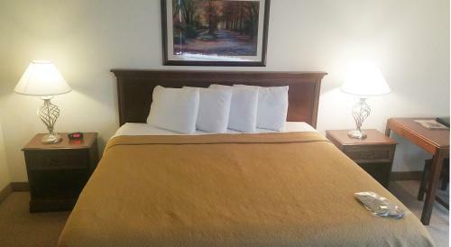 Alex Hotel And Suites