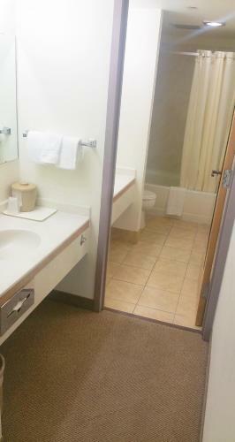 Alex Hotel And Suites