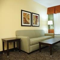 Hotel Comfort Inn - Chandler