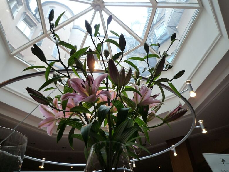 Hotel Profilhotels Riddargatan