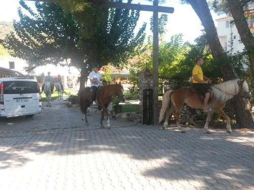 Oranj Ranch Hotel