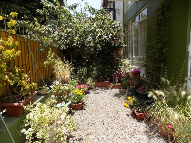 Hostal Quinta Vergara Monta�a