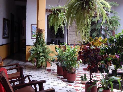 Bed & Breakfast Posada De San Antonio