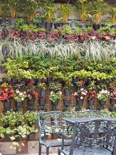 Bed & Breakfast Posada De San Antonio