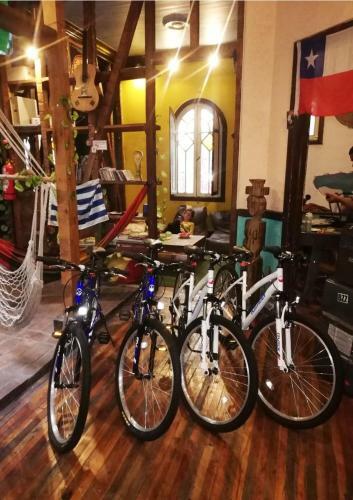 Hostal Gnomo Hostel