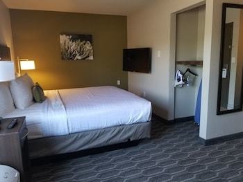 Hotel Quality Inn & Suites At Metro Center