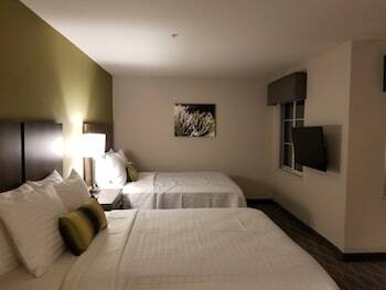 Hotel Quality Inn & Suites At Metro Center