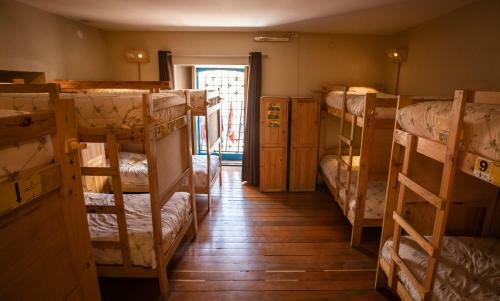 Ecopackers Hostels