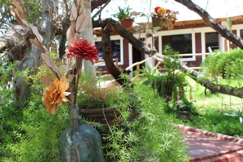 Hostal Rochabus