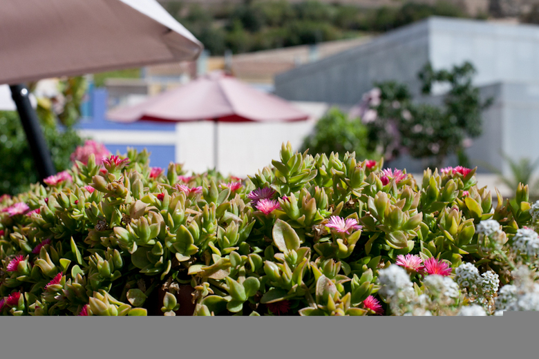 Bed & Breakfast La Milagrosa