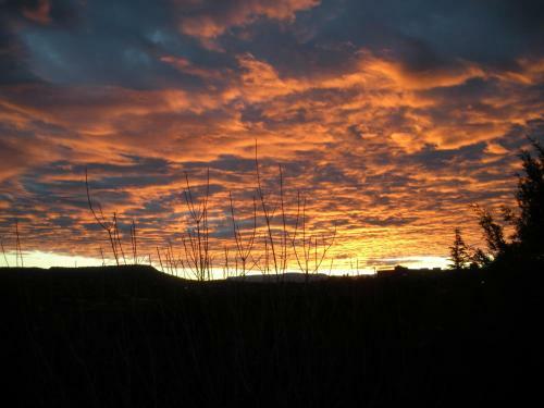 Bed & Breakfast Alma De Sedona Inn