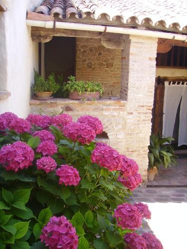 Hotel Boutique Condes F�cares