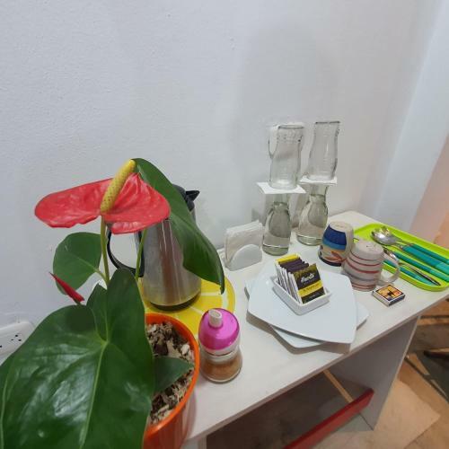 Lima Airport Hostel