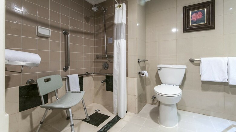 Hotel Holiday Inn San Jose-aurola