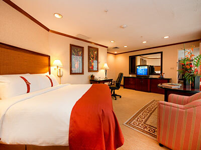 Hotel Holiday Inn San Jose-aurola