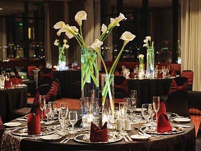 Hotel Holiday Inn San Jose-aurola
