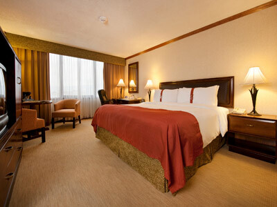 Hotel Holiday Inn San Jose-aurola