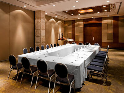 Hotel Hyatt Regency Villahermosa